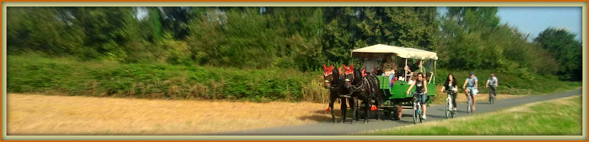 Planwagenfahrt am Main bei Rumpenheim "Hanauer Sommer - Event"