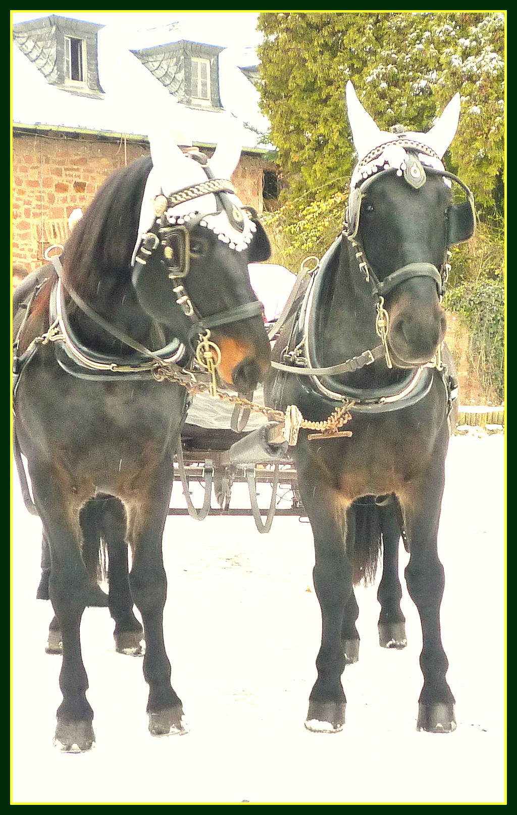 Winterhochzeit